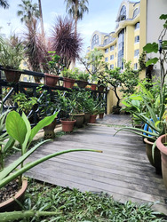 Westcove Condominium (D5), Condominium #503985201